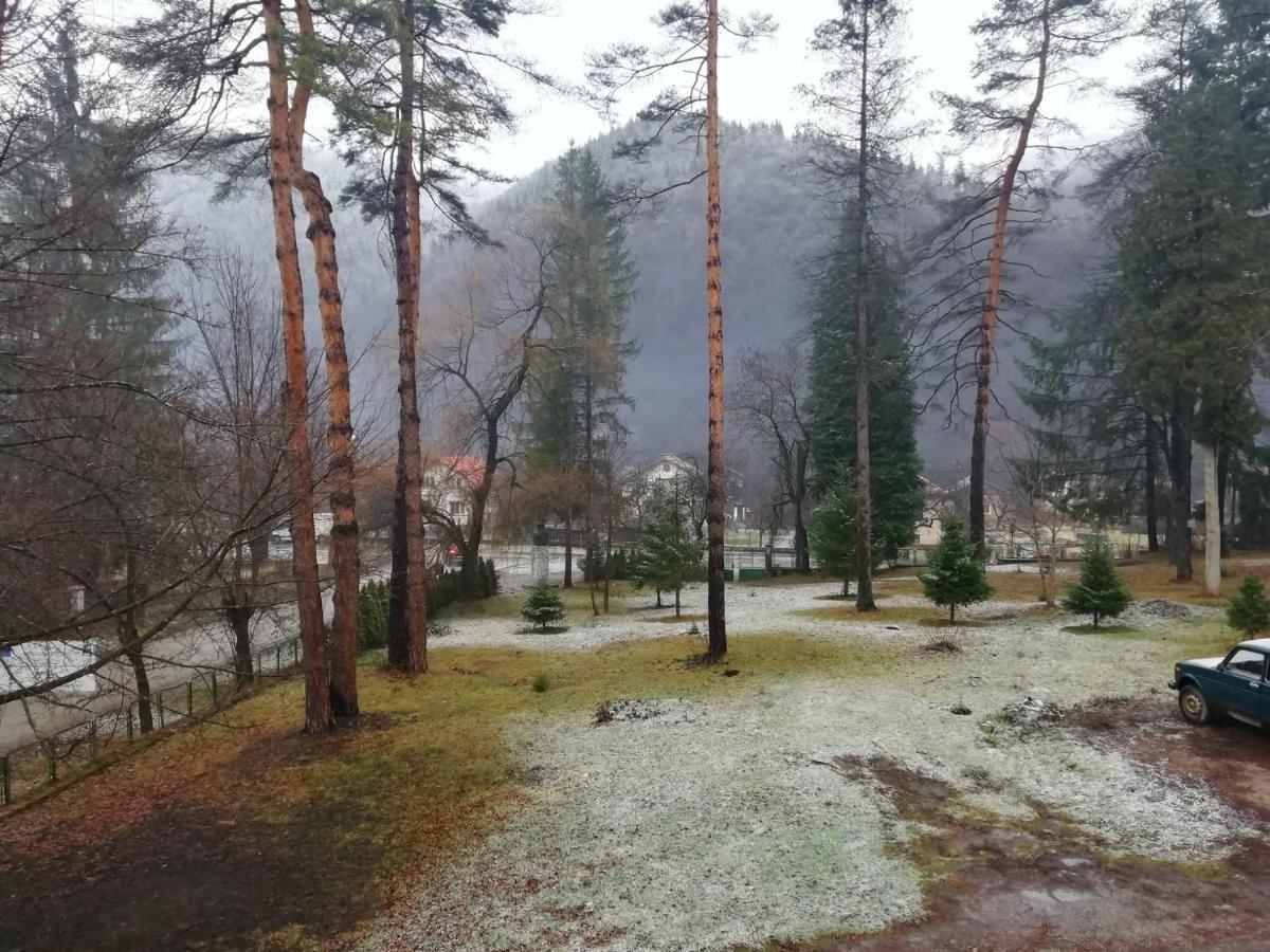 Хан Костина - Han Kostina Рибарица Экстерьер фото